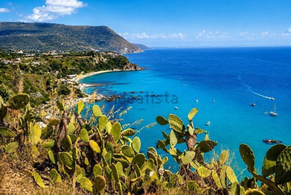 appartamento in vendita a Ricadi in zona Capo Vaticano