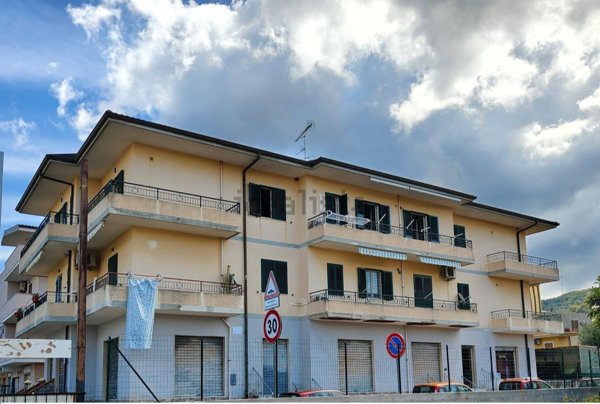 appartamento in vendita a Ricadi in zona Orsigliadi