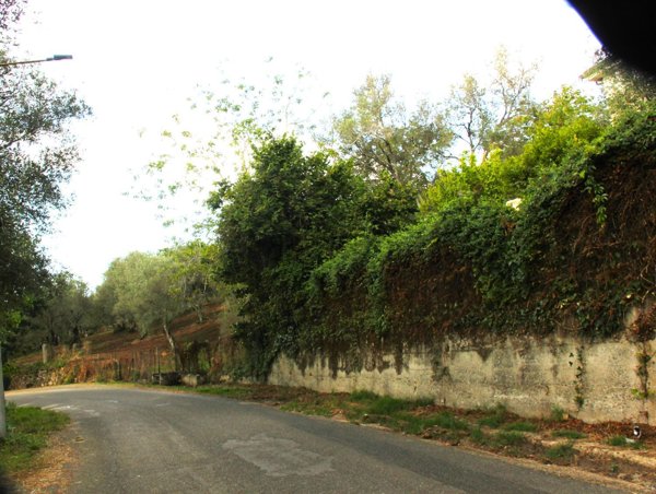 appartamento in vendita a Rombiolo in zona Presinaci