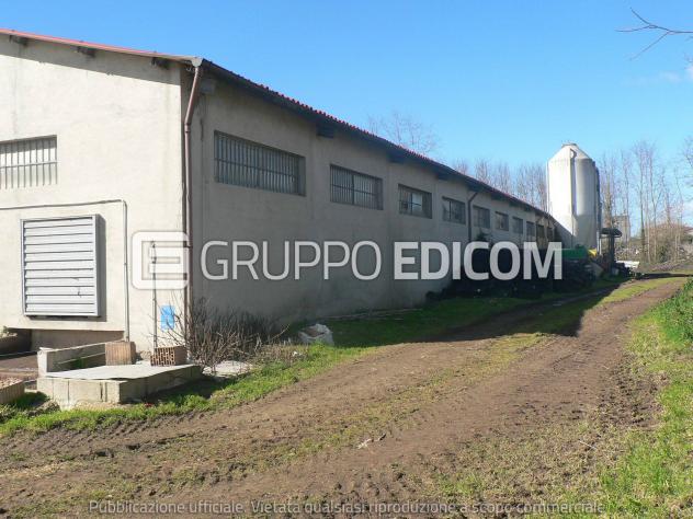 locale commerciale in vendita a Rombiolo