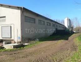locale commerciale in vendita a Rombiolo
