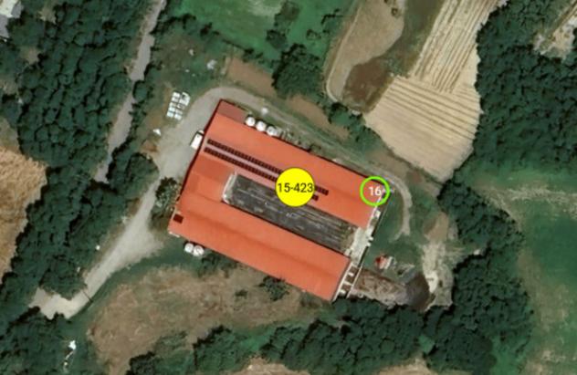 pentavano in vendita a Rombiolo