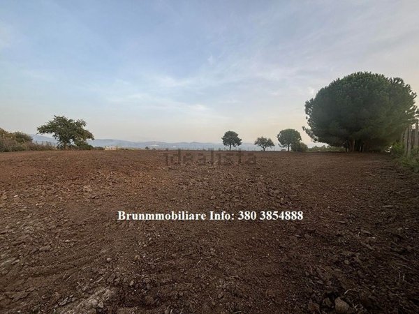 terreno agricolo in vendita a Sant'Onofrio