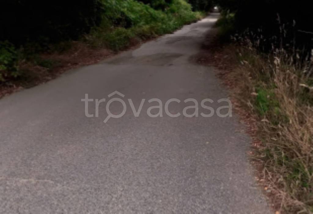 terreno agricolo in vendita a Serra San Bruno