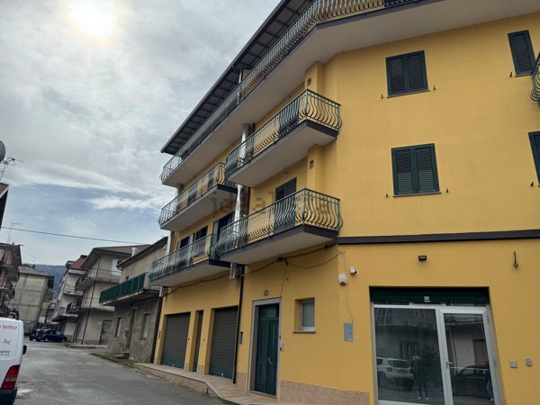 appartamento in vendita a Serra San Bruno