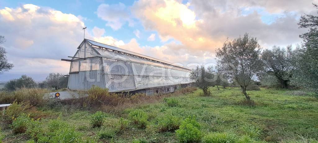 terreno agricolo in vendita a Stefanaconi
