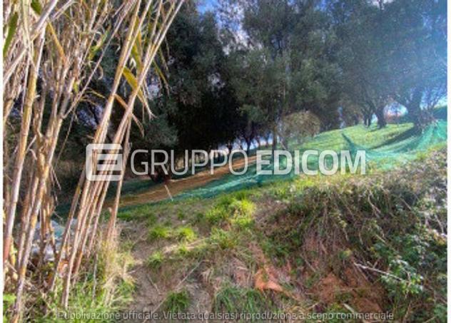 terreno agricolo in vendita a Stefanaconi
