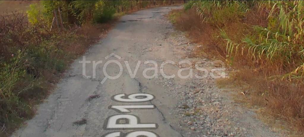 immagine annuncio 0 di 10