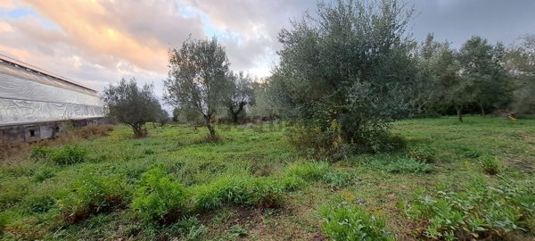 terreno agricolo in vendita a Stefanaconi