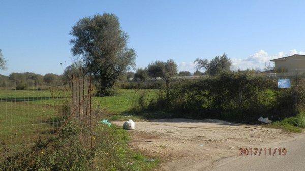 terreno agricolo in vendita a Vibo Valentia
