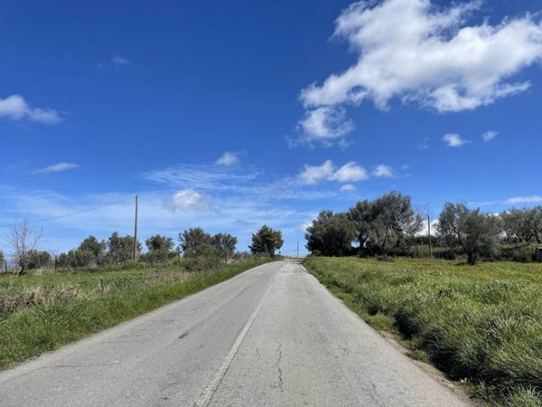 terreno agricolo in vendita a Vibo Valentia