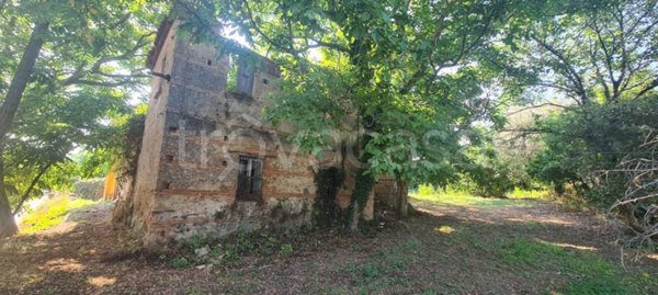 terreno agricolo in vendita a Vibo Valentia