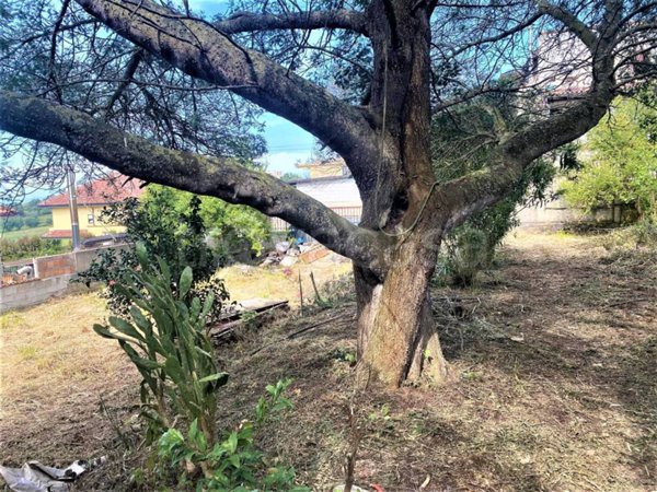 terreno agricolo in vendita a Vibo Valentia