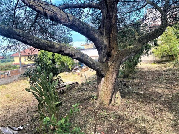 terreno edificabile in vendita a Vibo Valentia