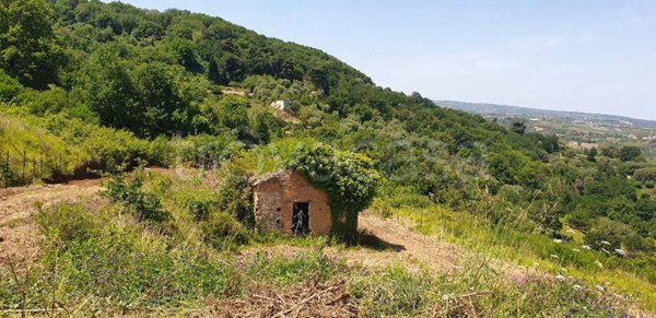 appartamento in vendita a Vibo Valentia