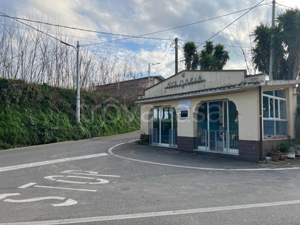 terreno agricolo in vendita a Vibo Valentia in zona Vena Superiore