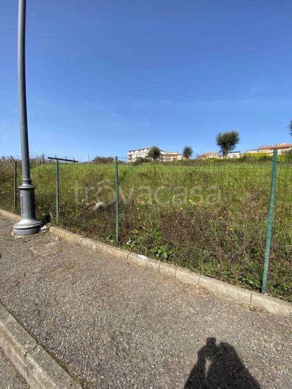 terreno agricolo in vendita a Vibo Valentia