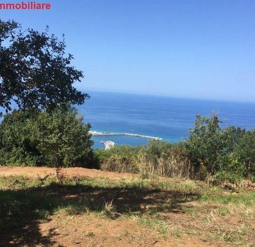 terreno agricolo in vendita a Vibo Valentia