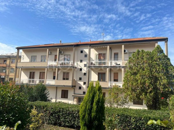 appartamento in vendita a Vibo Valentia in zona Centro Città