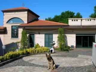 casa indipendente in vendita a Vibo Valentia in zona Centro Città