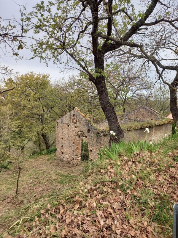 terreno agricolo in vendita a Vibo Valentia in zona Vena Inferiore