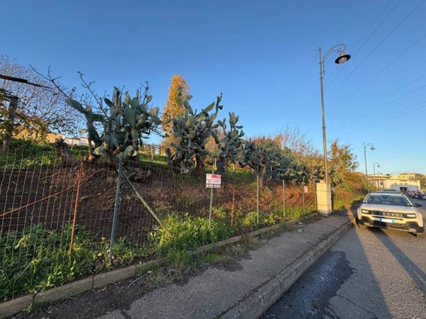 terreno agricolo in vendita a Vibo Valentia