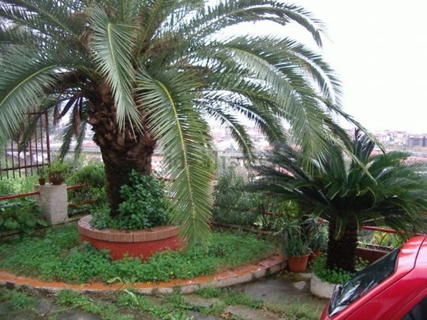 casa indipendente in vendita a Vibo Valentia in zona Vibo Marina