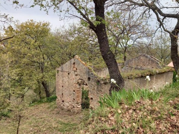 terreno agricolo in vendita a Vibo Valentia in zona Triparni