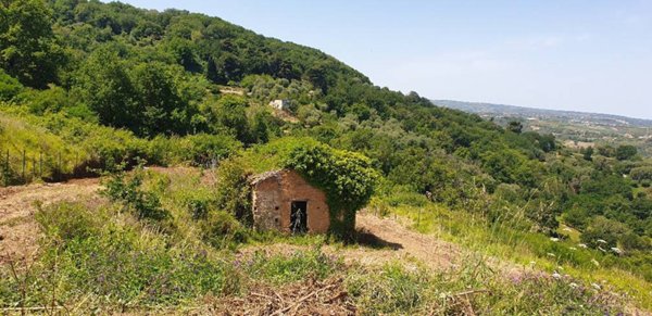 terreno agricolo in vendita a Vibo Valentia in zona Triparni