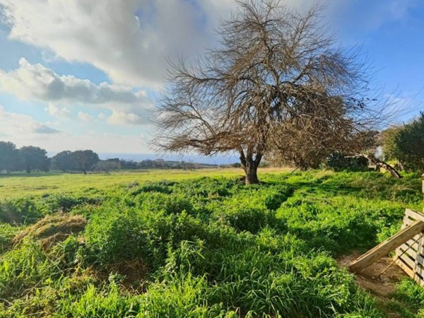 casale in vendita a Zambrone