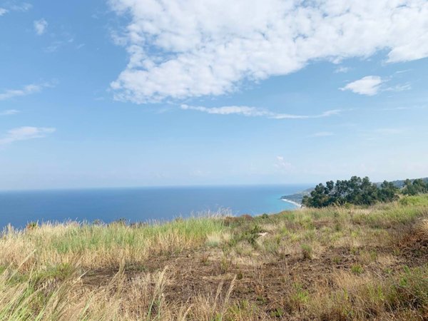 terreno agricolo in vendita a Zambrone in zona Daffinacello
