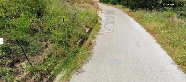 terreno agricolo in vendita a Zambrone