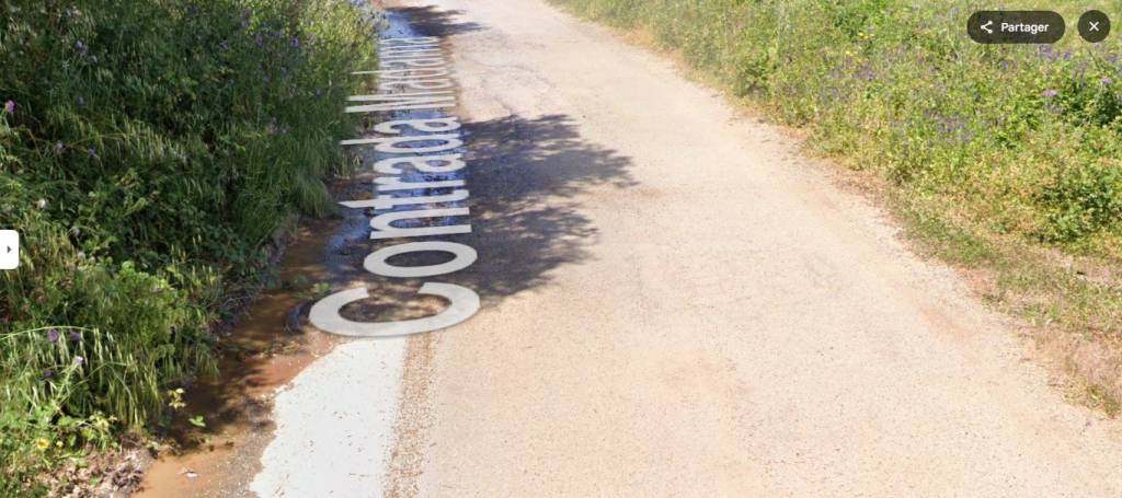 appartamento in vendita a Zambrone