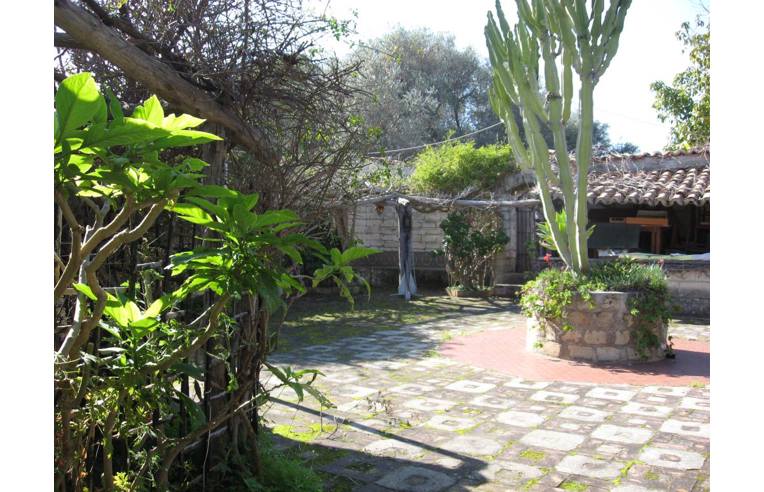 negozio in vendita a Zambrone