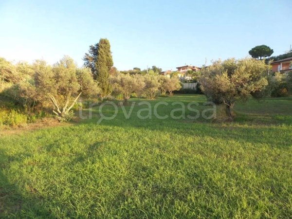terreno agricolo in vendita a Zambrone