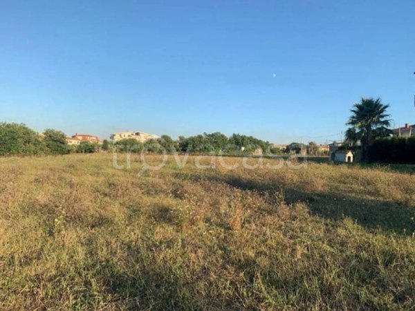 terreno agricolo in vendita a Zambrone
