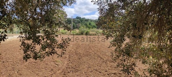 casale in vendita a Zambrone