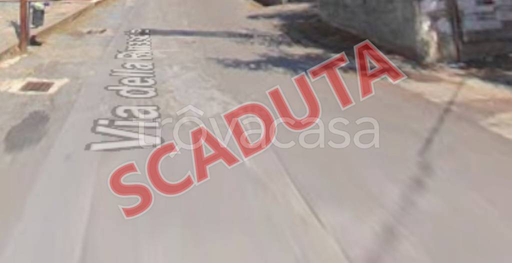 terreno agricolo in vendita a Zambrone in zona Daffinacello