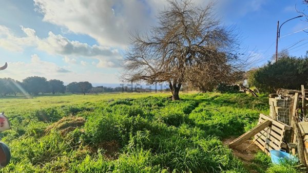 appartamento in vendita a Zambrone