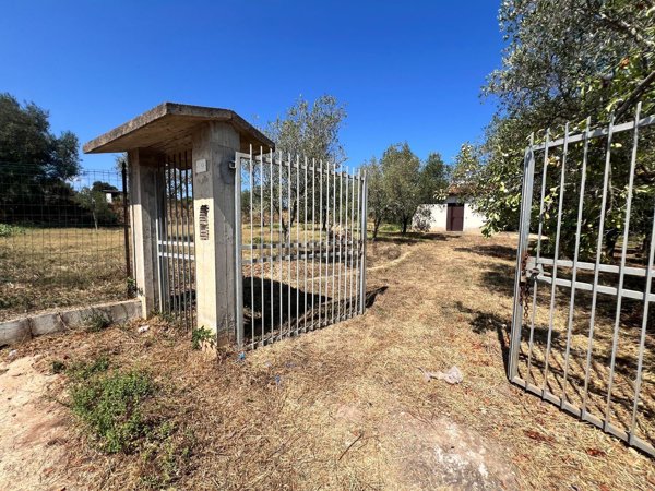 casa indipendente in vendita a Zambrone in zona San Giovanni