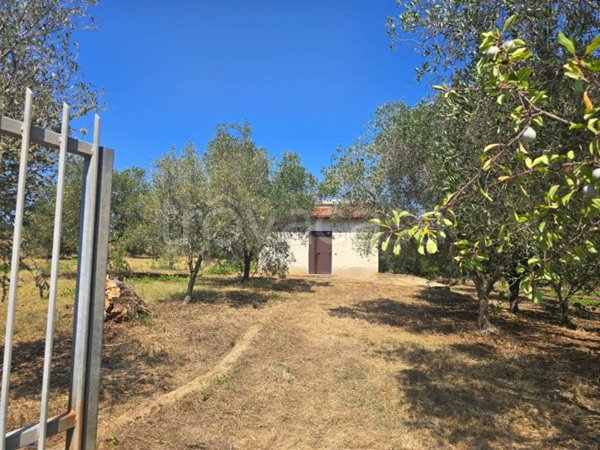 casa indipendente in vendita a Zambrone in zona San Giovanni