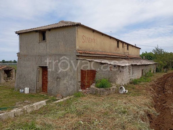terreno agricolo in vendita a Zungri in zona Papaglionti