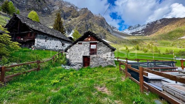 casa indipendente in vendita ad Antrona Schieranco in zona Cheggio