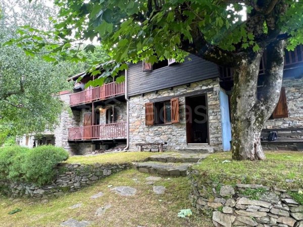 pentavano in vendita ad Aurano