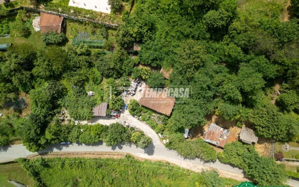 terreno agricolo in vendita a Baveno