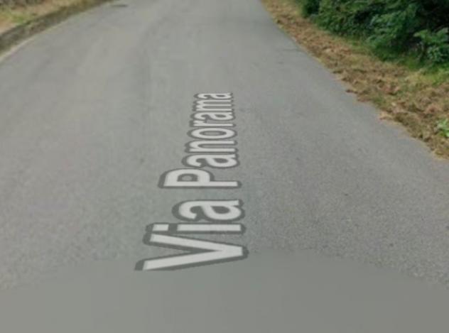 terreno agricolo in vendita a Belgirate