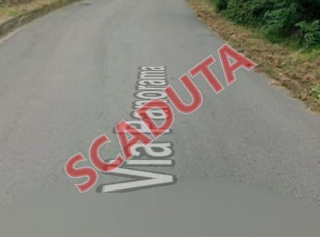 terreno agricolo in vendita a Belgirate