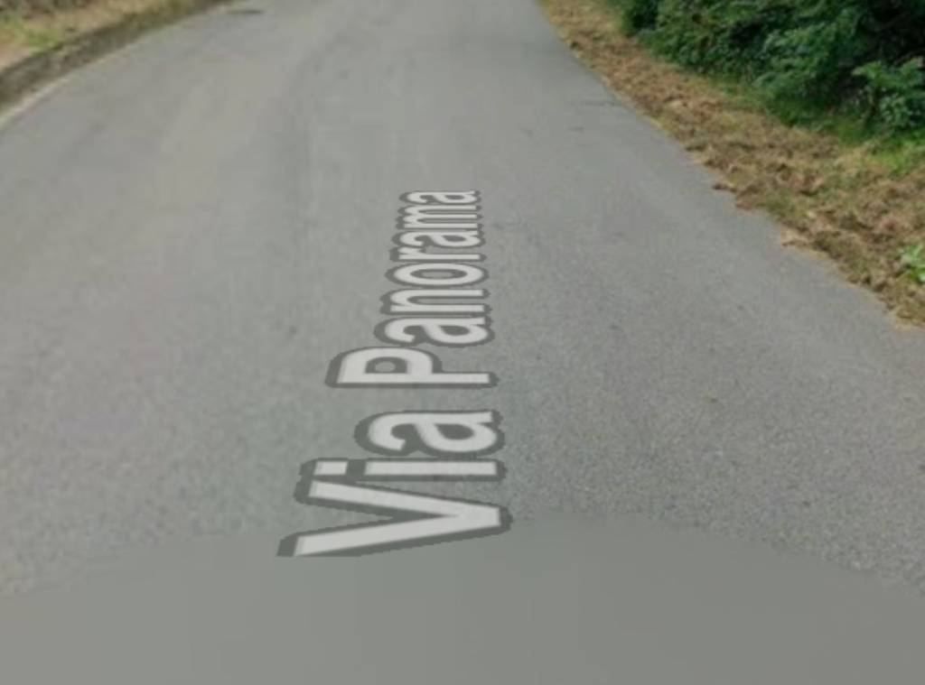 terreno agricolo in vendita a Belgirate