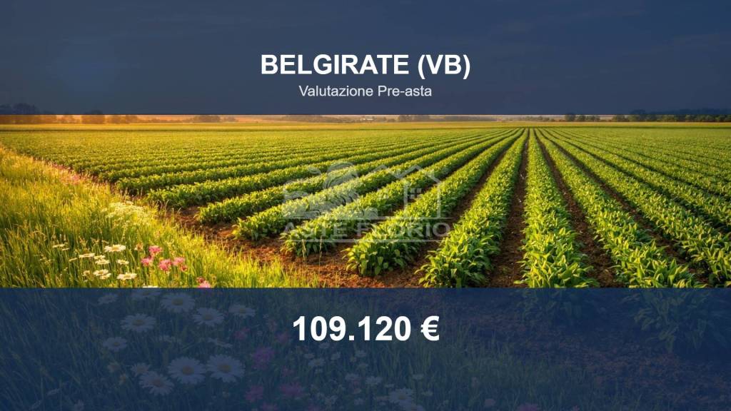 terreno agricolo in vendita a Belgirate