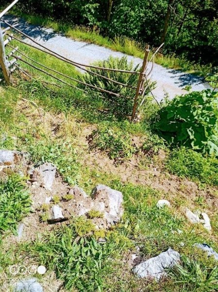 appartamento in vendita a Bognanco